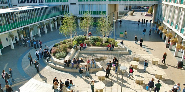 No Campus Life Experience